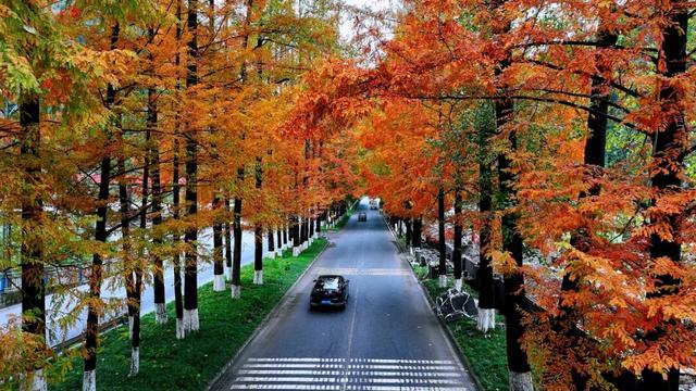 酉阳初冬美景合集：邂逅山间调色盘，每一帧都是壁纸！