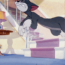 “紫荆之友·幸福联线”第二期上线！这次来玩猫抓老鼠→