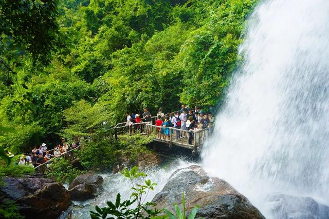 “信用+文旅”，赋能环南昆山—罗浮山引领区（增城）建设