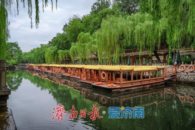 一年四季 泉在济南丨雨后黑虎泉畔，市民取水赏景尽享清凉