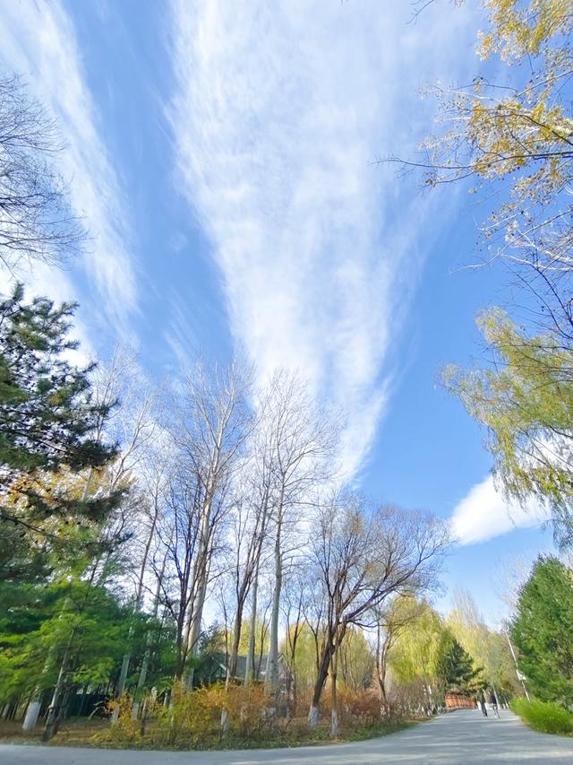 秋深冬浅时，奥森浸染缤纷色彩