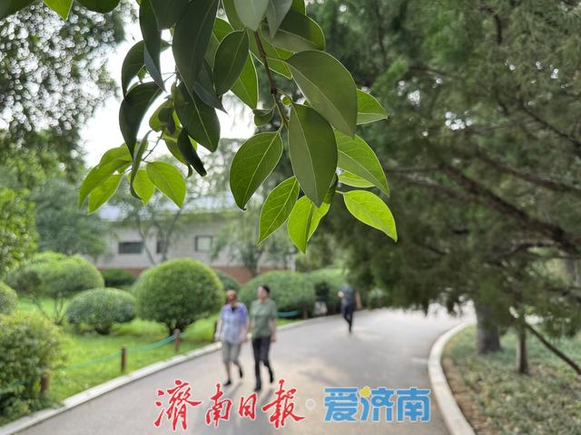 一年四季 泉在济南丨初秋好去处：泉城公园景致佳，市民休闲正当时