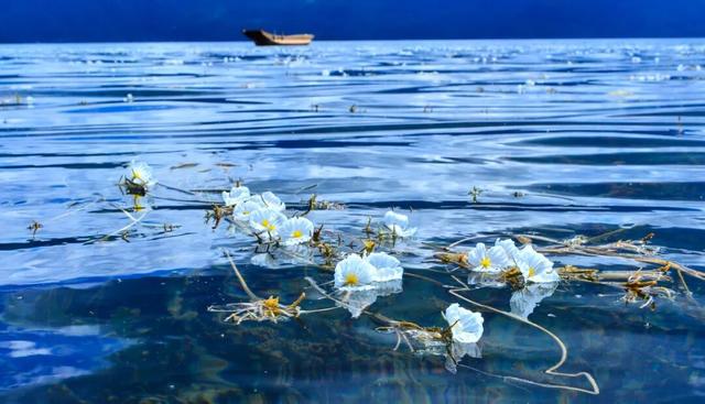 【冬季暖阳 凉山不凉】最全美食美景旅行攻略出炉！第一次来泸沽湖旅游必看！