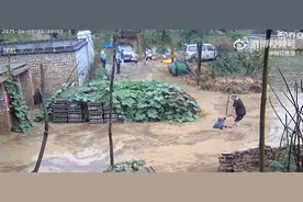 八旬老人摔倒未扶，一民警被免职图片