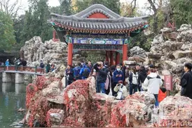 北京：北海公园秋意浓图片