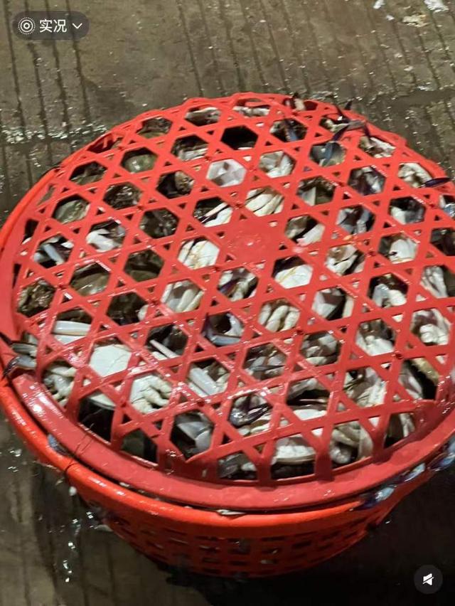 价格不比家门口菜场香，凌晨就起床，周末大堵车！一些上海人就爱去舟山、吕四、临港买梭子蟹？