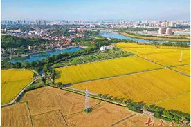 奏响田园郊享乐    绘制莞味丰收画图片