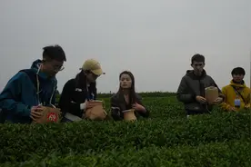 【境内外媒体贵州行】在贵州遇见茶海 湄潭茶远销10多个国家和地区图片