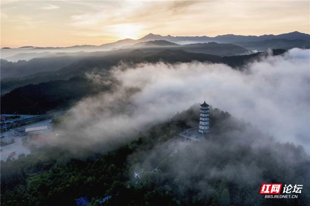 【每日一图@湖南】云雾是山林的呼吸，文峰塔是靖州的心跳