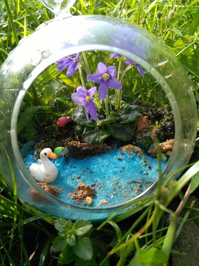 逛秋花集一定要看这个！攻略奉上