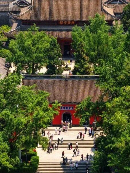 【国庆研学第三弹】森林之子·秋日奇旅（两天一夜）独立营重磅招募！