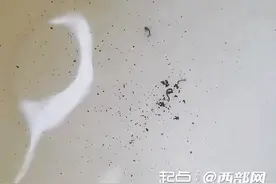 问政回声丨村民反映自来水浑浊有异物 回应：已冲洗管道 水质已得到改善图片