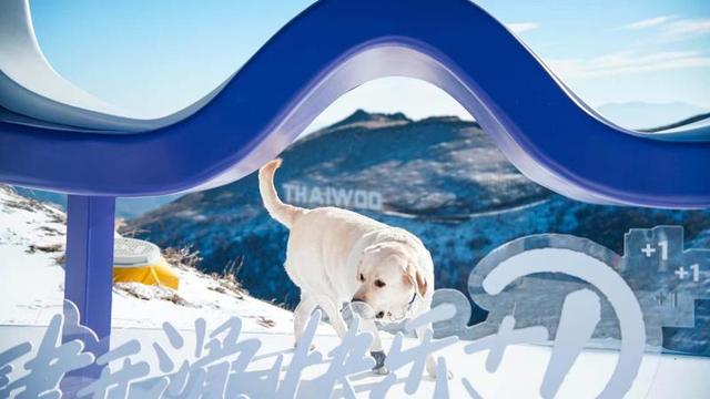 追求速度亦不忘慢生活 张家口将打造全国最大户外亲子娱雪乐园