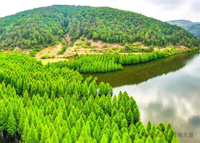 本地人力荐的半日宝藏打卡地！来寻甸自由“森”呼吸~