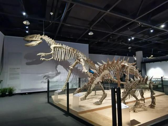 市中心赏梅季到了，免费打卡200余株梅花！这条路线打包冬日惊喜→