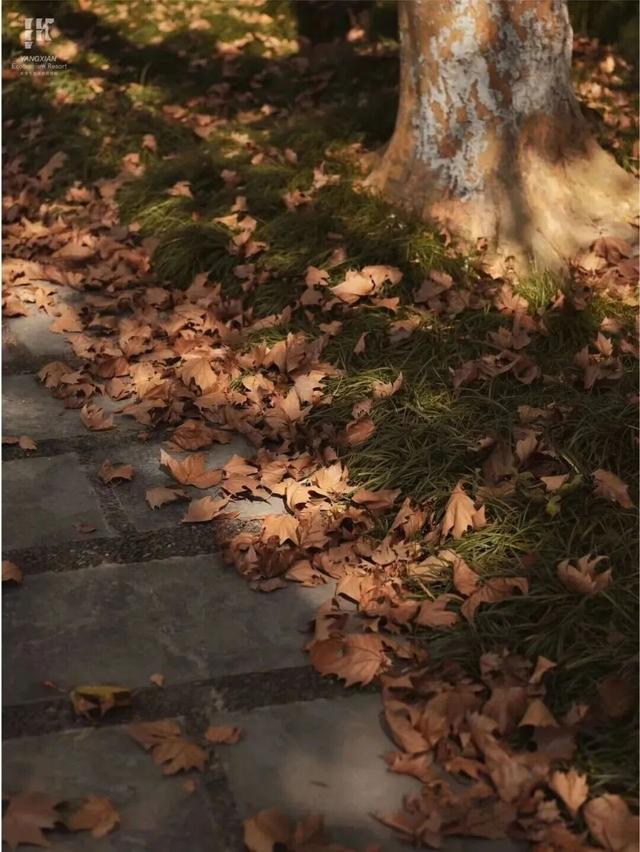 现在的宜兴，已经美成这样了……