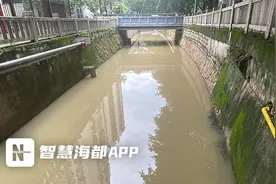 福州内河小鱼争相“抬头”？部门回应：缺氧图片