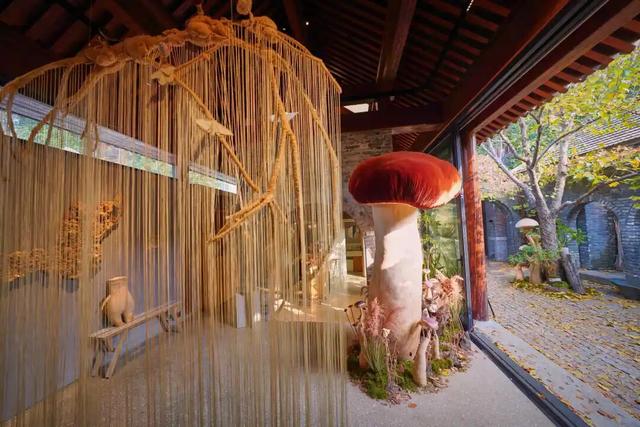 来东城这个胡同小院，邂逅蘑菇精灵的童话秘境——