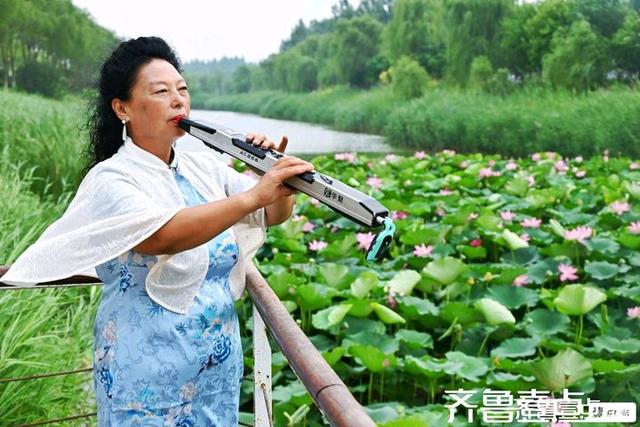 壹点号·秀山东｜黄河公园夏韵悠悠荷满塘