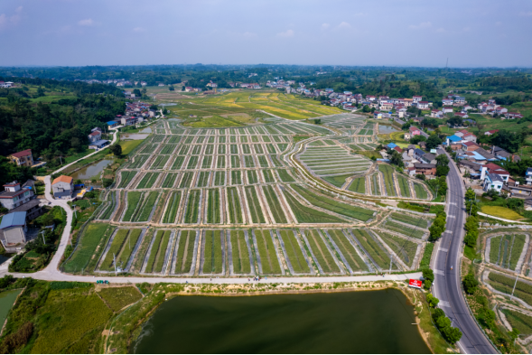 【四川交通】自贡大安区交旅融合，路网打通“任督二脉”！