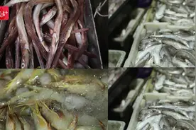 汕尾头舱鱼获拍卖——渔业文化与经济活力的交汇图片