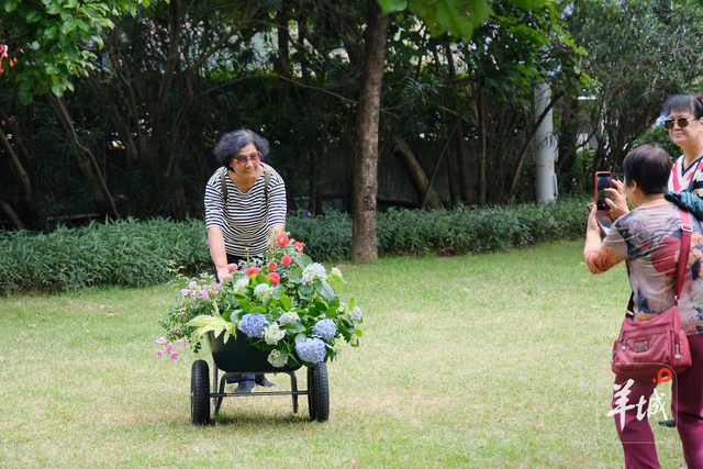 秋明拍花｜名副其实的“花城”：人在画中游，笑从花畔生