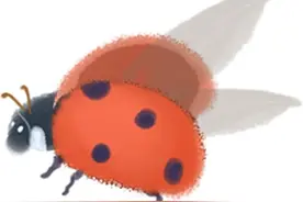 春季过敏来袭，抗敏人必存：皮肤科医生开出的防过敏指南~图片