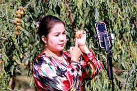 丰收“新”盛景丨冬枣助农“枣”致富图片