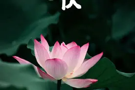 辞夏迎秋！超长三伏天终于结束了图片