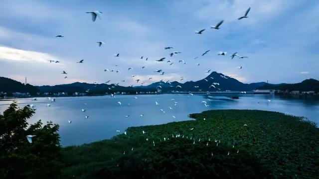 益阳元旦去哪嗨？收藏这份攻略就够了！