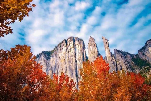 免票、半价！湖北知名5A景区官宣→