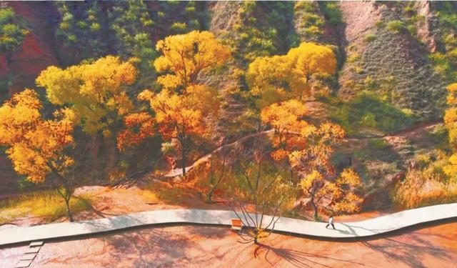 大美陕西 || 塞下秋来风景异