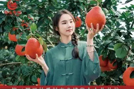 即将亮相！玉林北站内部长这样图片