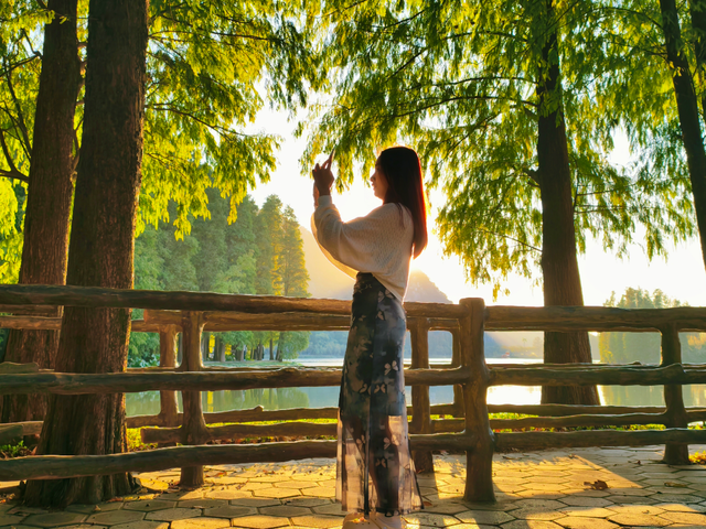 速报！七星岩落羽杉开始变红，快来get秋天的第一张大片