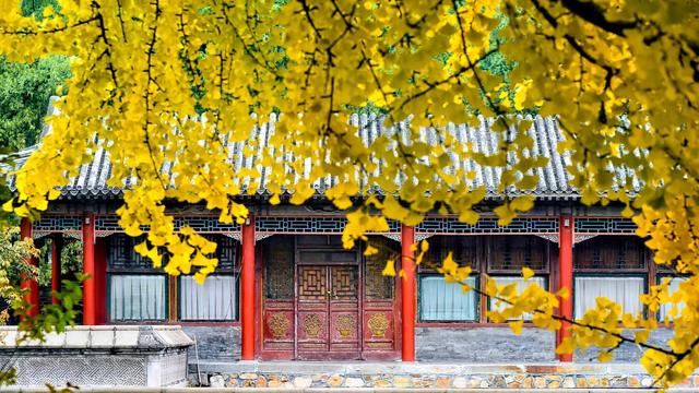 跟着电影去秋游｜这份精选秋日电影旅行地指南，请查收！