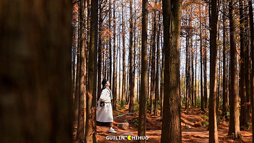 冬至丨解锁桂林的多彩冬天！