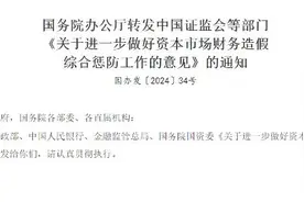 海量财经 | 最高罚1000万、判10年！六部门联手严惩财务造假图片
