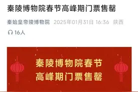 兵马俑博物馆迎客流高峰，游客：羽绒服的毛都挤出来了图片