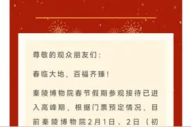 兵马俑博物馆迎客流高峰，游客：羽绒服的毛都挤出来了图片
