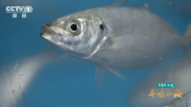 山海相逢处，至味在漳州