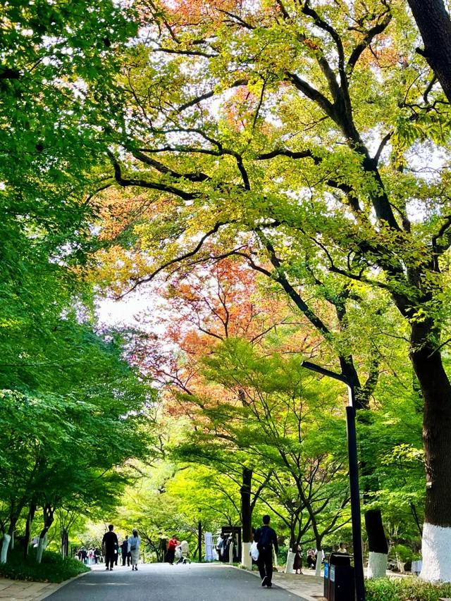 今日浓度15%！（附实用信息）