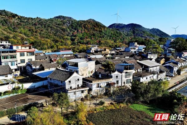 古村新韵：青砖黛瓦里的时光交响