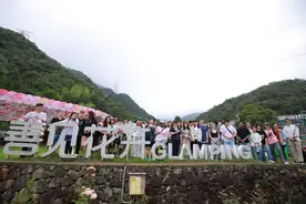 留学生浙江乡村行，感受中国乡村新面貌图片