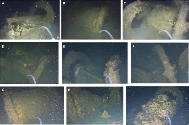 被遗弃的二战炸药上	，长出了更多的螃蟹和海星