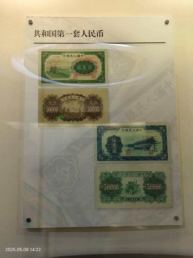 一家三口重庆五日游