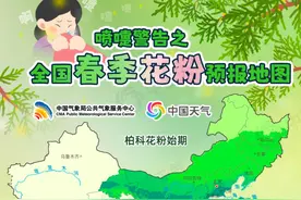 全国春季花粉预报地图来了，多地进入柏科花粉易过敏时段图片