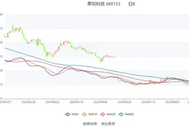 泰坦科技：2024年上半年净利润509.80万元 同比下降89.90%图片
