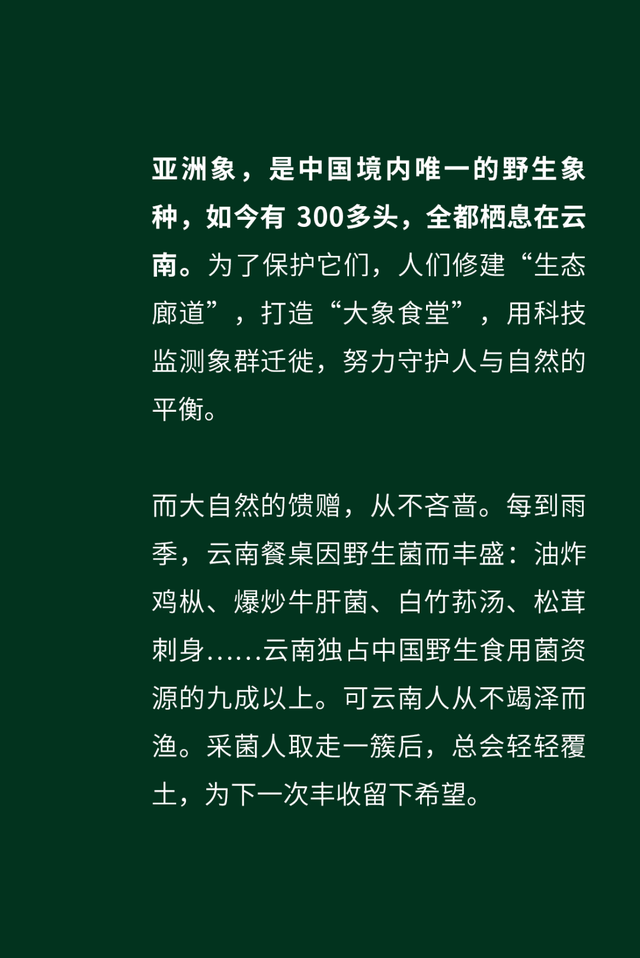 中国“旅居”天花板，为什么还得是云南？