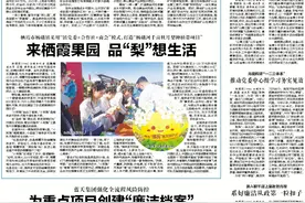 《烟台日报》（乡村振兴齐鲁样板——村村有好戏）蓬莱区大柳行镇打造“柳行阳光”镇域品牌  一颗颗小葡萄串起振兴“致富链”图片