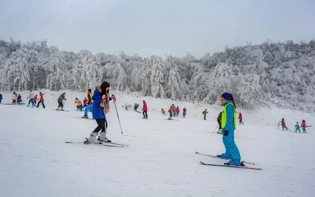 不止冰雪，又燃又暖！2025—2026年六盘水滑雪季启幕